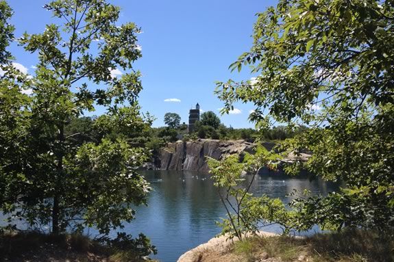 Come learn about the secret life of trees at Halibut Point State Park.