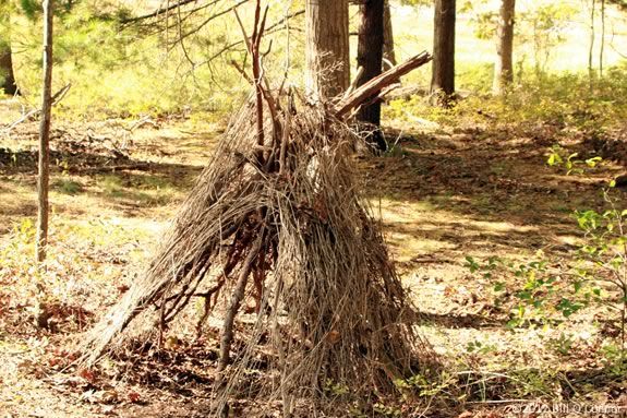 Teens will learn outsoodr survival skills at Ipswich River Wildlife Sanctuary!