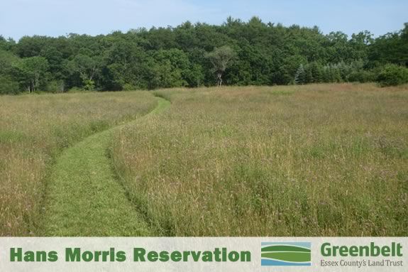 Kids ages 3-6 will explore the Hans Morris Reservation in Newbury with Mass Audubon! 