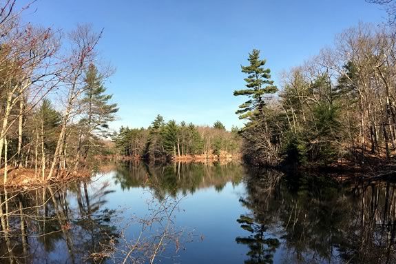 Join the Harold Parker Park Interpreter on this easy to moderate 2-mile hike on the Salem Pond Loop and discover the story of the Civilian Conservation Corps along the way