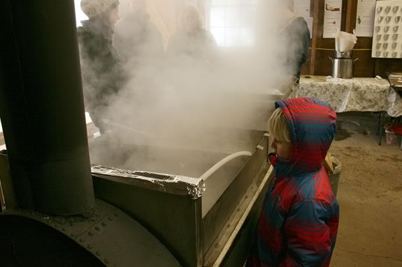 Visit Appleton Farms' sugaring operation and experience a New England tradition 