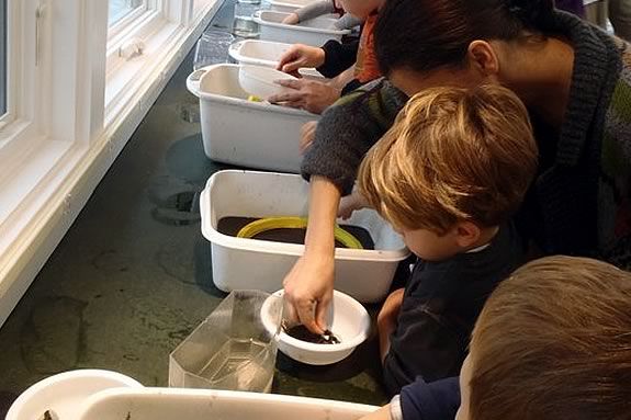 Preschoolers will learn about the creatures of the beach at Joppa Flats Center