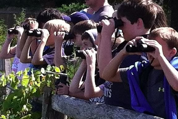 Kids and adults will learn about the diversity of Plum Island and the North Shore wildlife at Mass Audubon's Joppa Flats Education Center in Newburyport! 