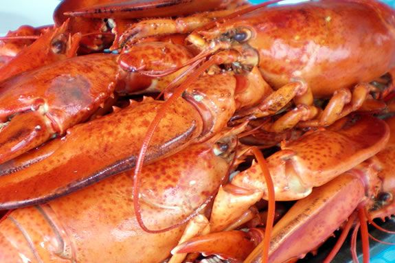 Enjoy lLobster on the wharf at Maritime Gloucester duirng the Schooner Festival!