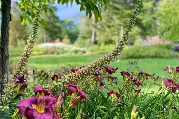 Tour the Gardens at the Trustees of Reservations Long Hill Gardens in Beverly, Massachusetts!