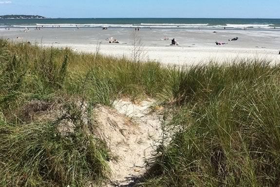 CoastSweep cleanup at Lynn Nahant Beach in Massachusetts!