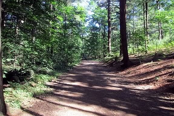 Hike the trails of Lynn Woods with your family in Lynn Massachusetts