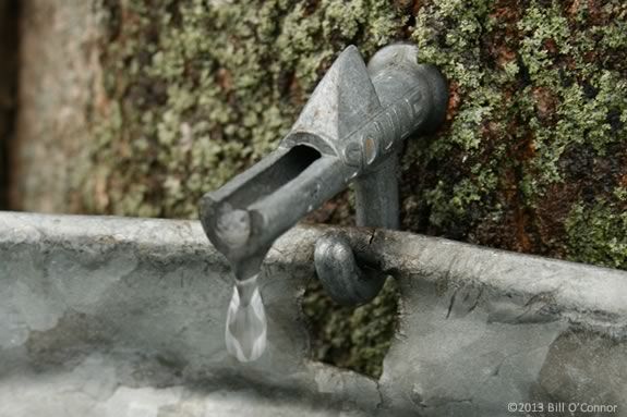 Teens will learn about maple sugaring after school at Appleton Farms in Ipswich 