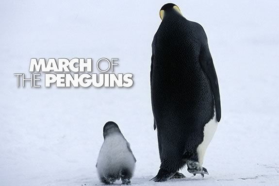 Watch March of the Penguins at the Parker River Wildlife Refuge in Newburyport