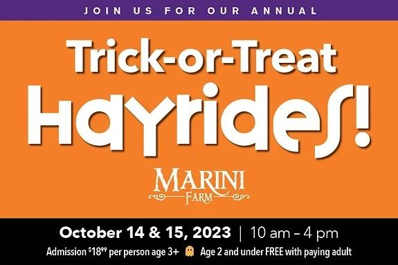 Trick or Treating by hayride at Marini Farm in Ipswich Massachusetts is Safe and Fun! 