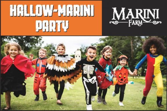 The 2019 Marini Farm Corn Maze in Ipswich Massachusetts! 