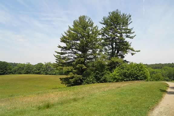 Join the park interpreter for a for a hike to Bootleggers Field at Madslay State Park in Newburyport, Massachusetts For ages 8 & up.