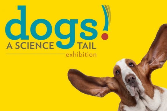 Museum of Science Dogs! A Science Tail Exhibition- Cambridge