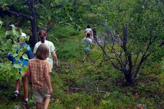 Hike Mount Agamenticus in Maine with Mass Audubon's Joppa Flats Education Center during April Vacation! 