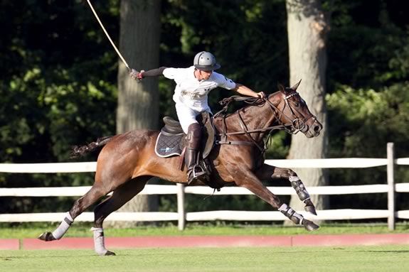 Myopia Polo match and picnic as part of trails and sails! South Hamilton Massachusetts Myopia Polo match and picnic as part of trails and sails!
