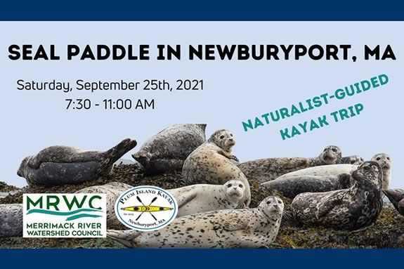 Join the Merrimack River Watershed Council on a wildlife-focused kayaking trip with Plum Island Kayak.