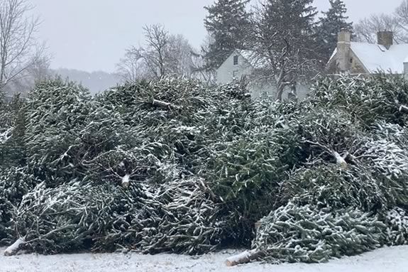 Come to Spencer-Pierce-Little Farm for an open house and Christams Tree Chipping Festival in Newbury Massachusetts! Come to Spencer-Pierce-Little Farm for an open house and Christams Tree Chipping Festival in Newbury Massachusetts!