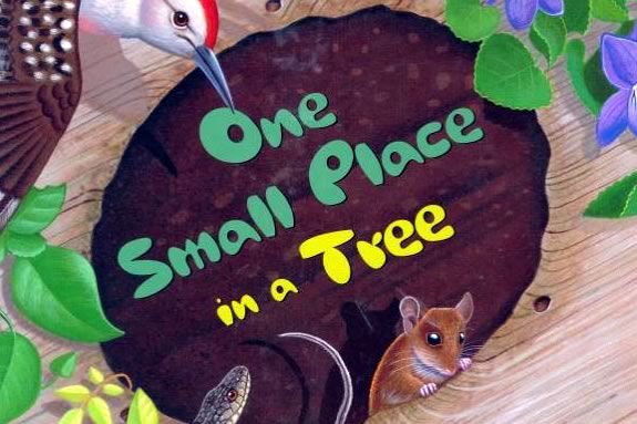 Join DCR’s Autumn Feature StoryWalk® at Maudslay State Park, featuring One Small Place in a Tree, written by Barbara Brenner and illustrated by Tom Leonard