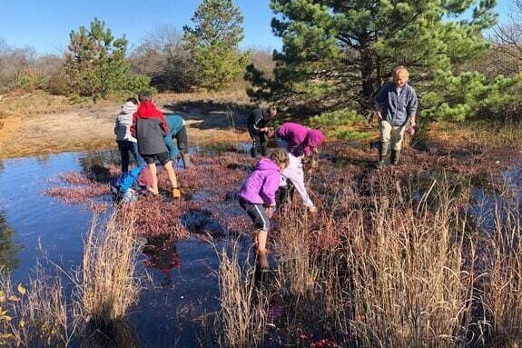 Discover and explore the cranberry bogs at Parker River Wildlife Refuge in Newburyport
