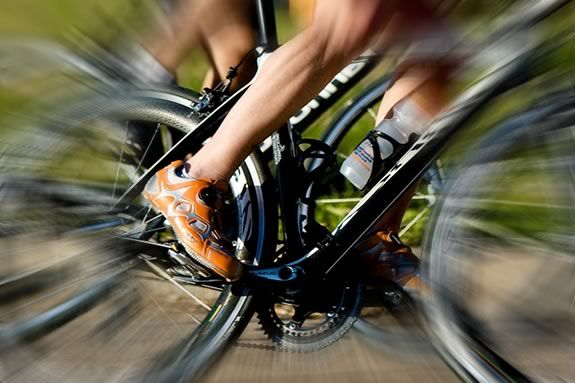 Pedal around Cape Ann with the Trustees on this family friendly ride!