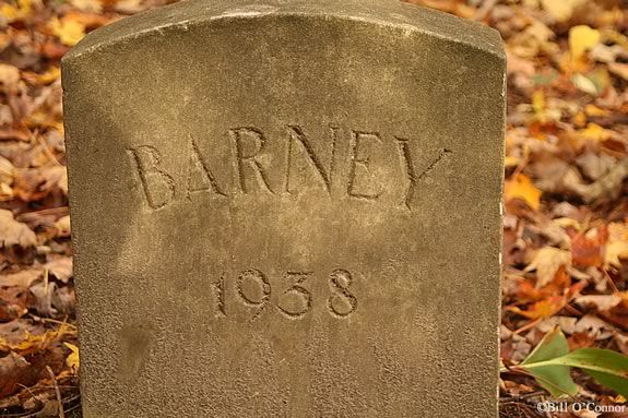 Learn the history of the Mosely family pets at Maudlsay State Park in Newburyport Learn the history of the Mosely family pets at Maudlsay State Park in Newburyport