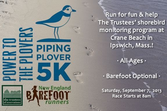 Run for fun and help raise funds for the Trustees' Shorebird Monitoring Program!