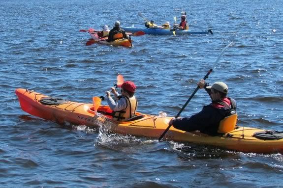 Special rates apply for family kayak tours at Plum Island Kayak every Tuesday! 