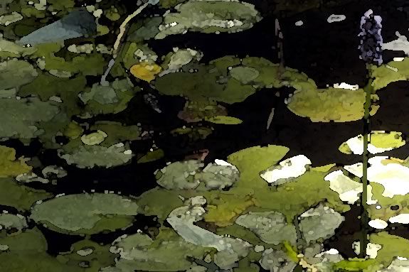 Kids explore ponds with water colorist Brenda Sloane at Ipswich River Wildlife Sanctuary in this combined exploaration and art workshop the paint what they learn! IRWS host a watercolor workshop with Brenda Sloane