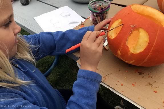 Come to a free pumpkin carving session at the Trustees' Appleton Farms in Ipswich Massachusetts! Pumpkin Carver ©2018 Bill O’Connor