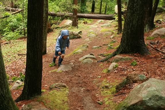 Get some exercise on this five-mile long woodland rocky loop through Ravenswood 
