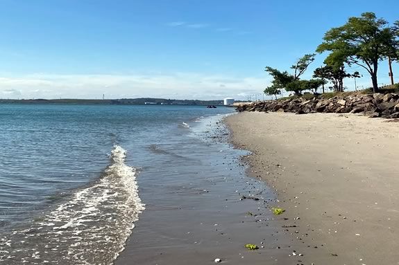 CoastSweep shoreline beach cleanup at Short Beach in Nahant, Massachusetts!