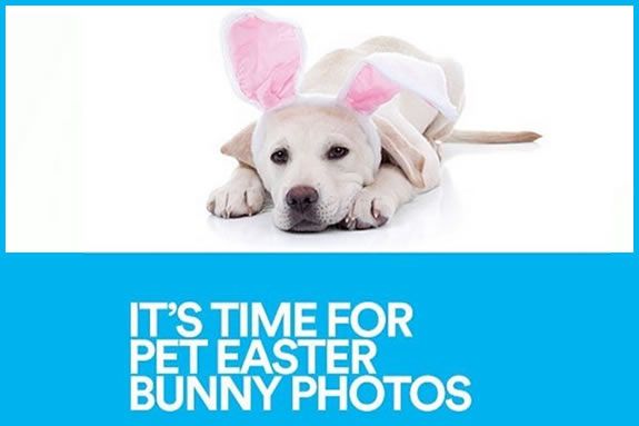 Pet Photos with the Easter Bunny at Northshore Mall, Peabody MA