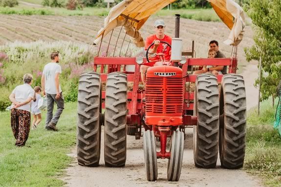 kids hayride