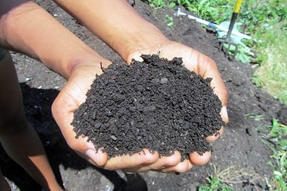 Kids will learn about composting at the Trustees of Reservations' Stevens-Coolidge Estate in North Andover