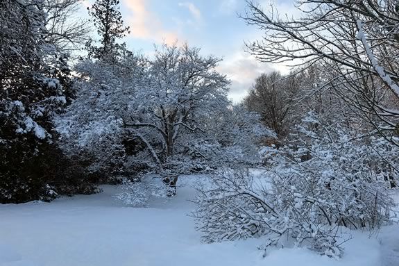 Come enjoy the Winter landscapes of the Stevens-Coolidge Estate in North Andover