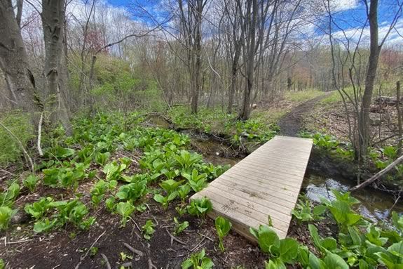 The Stevens to Stevens trail head in North Andover. 