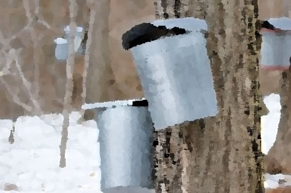 Come to IRWS for a watercolor workshop with Benda Sloan on maple sugaring.