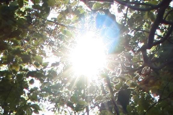 Celebrate the Summer Solstice - the longest day - at Veasey Park in Groveland Massachusetts