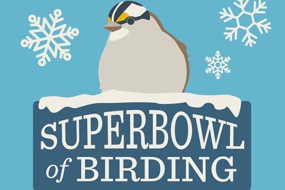 Super Bowl Ticket Raffle - Wenham Museum