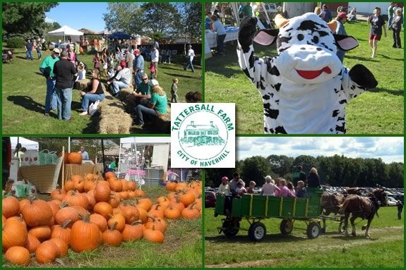 Tattersall Farm Day has lots of farm fun for the whole family!