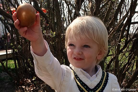 Join the fun of the egg hunt at the Stevens-Coolidge Estate in North Andover!