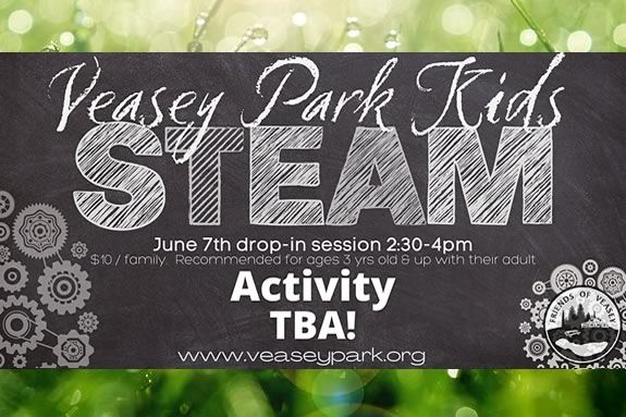 Spring STEAM activities for kids at Veasey Memorial PArk in Groveland, MA