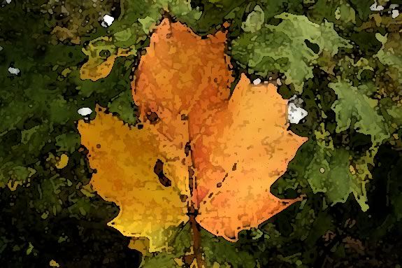 Kids will study and paint the nuances of leaves, nuts and berries at IRWS.