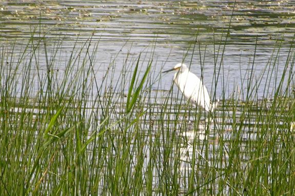 Join us as we paddle through the winding backwaters at IRWS with the family