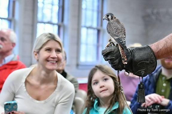 Wingmasters demonstrate live birds of prey of various specious in Massachusetts at the Hamilton Wenham Public Library