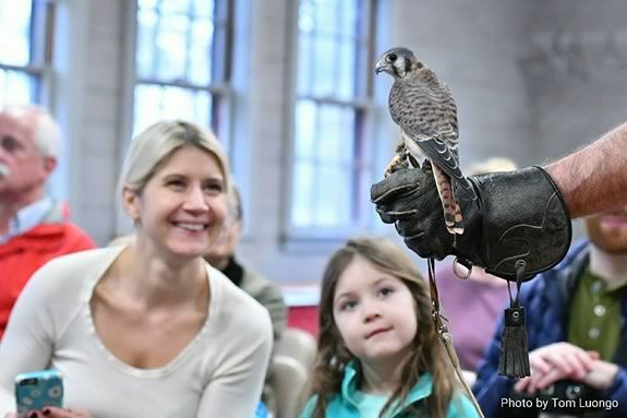 Wingmasters demonstrate live birds of prey of various specious in Massachusetts at Sawyer Free Library during the Middle Street Walk Wingmasters demonstrate live birds of prey of various specious in Massachusetts