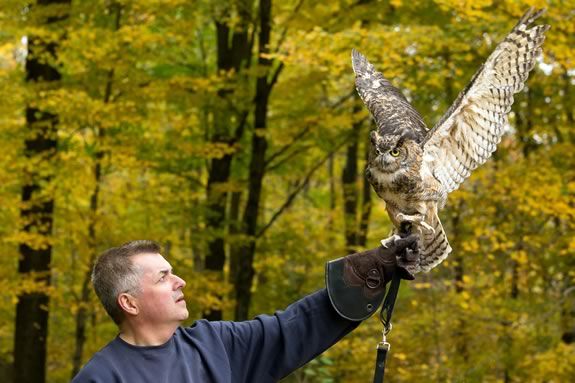 Wingmasters present Eyes on Owls at the Ipswich Public Library in Massachusetts