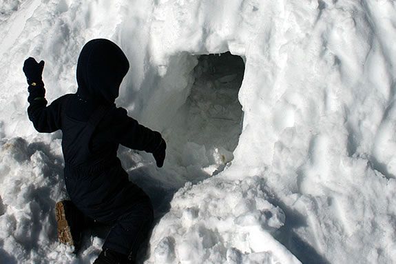 Build igloos and learn how to find winter homes for animals at IRWS's workshop Build igloos and learn how to find winter homes for animals at IRWS's workshop