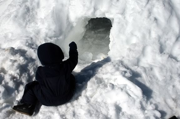 Come learn survival skills like how to build a shelter at Ipswich River Sanctuar