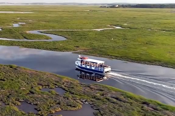 Learn how Plum Island and the Great Marsh were formed and how important they are on this boat tour of the estuary.